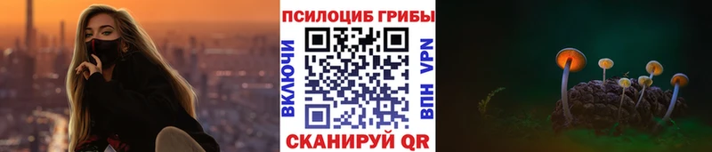Псилоцибиновые грибы Cubensis  Кондопога 