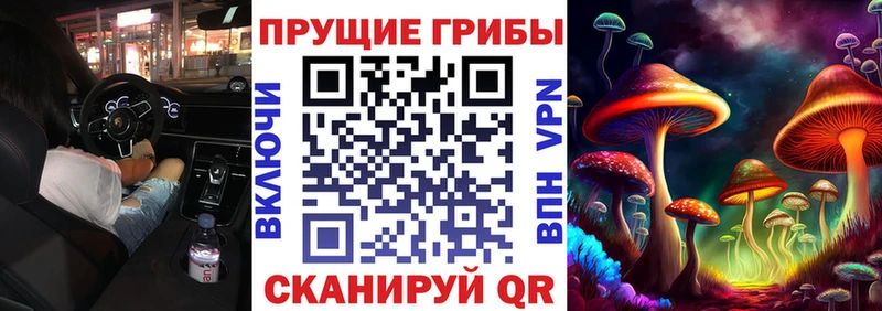 Галлюциногенные грибы ЛСД Кондопога