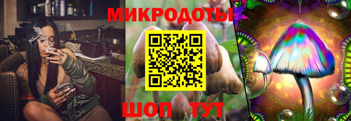 Псилоцибиновые грибы MAGIC MUSHROOMS Кондопога