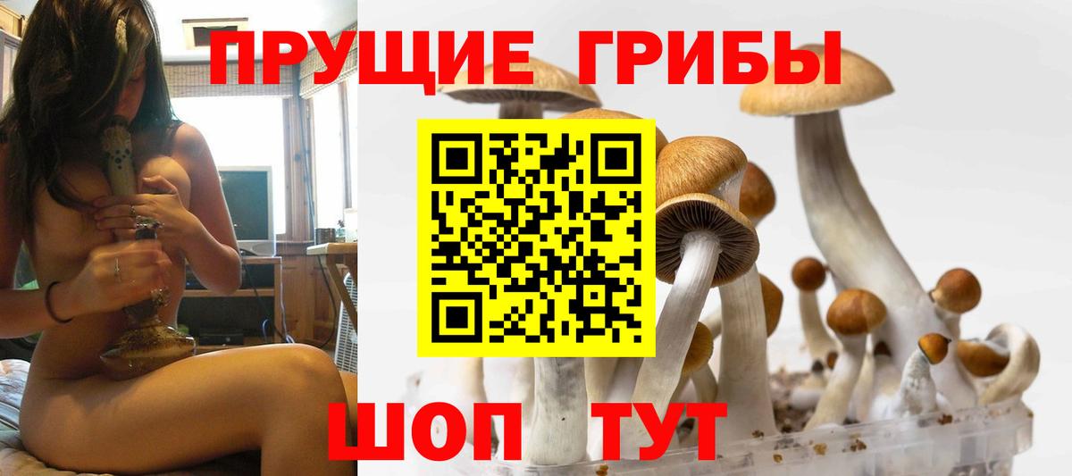 Кондопога  Галлюциногенные грибы мицелий  Вход с VPN 