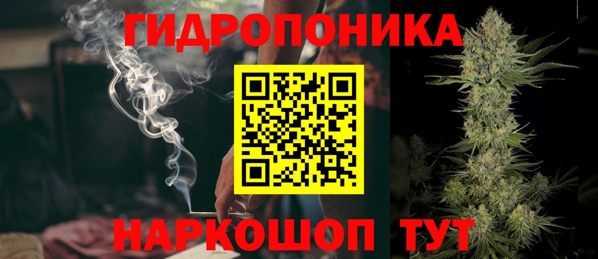 Бошки Шишки гибрид Кондопога