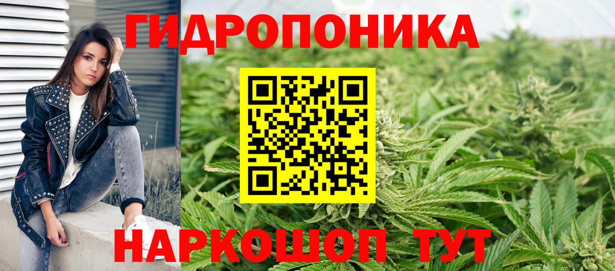 Бошки Шишки MAZAR  Вход с VPN  Марихуана Bruce Banner  Каннабис планчик  Кондопога 
